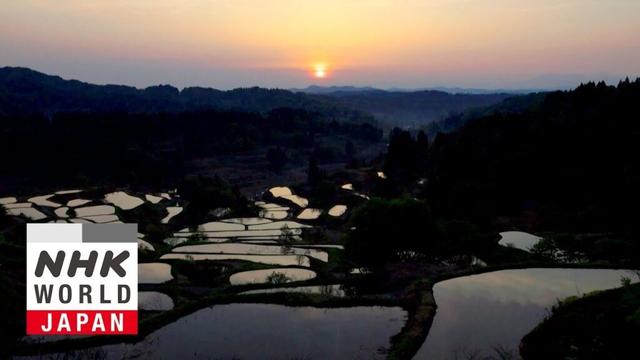 NIIGATA - Hit the Road