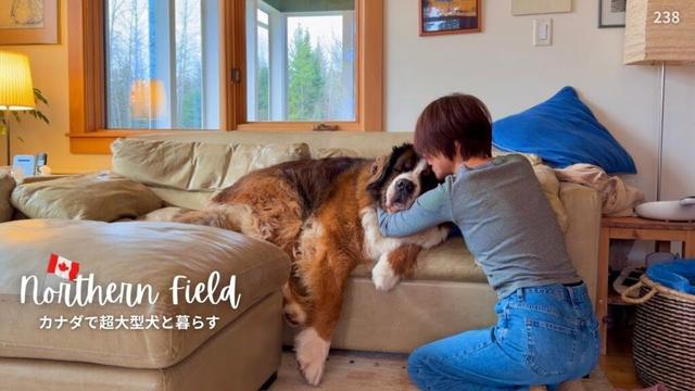 インフルエンザ予防接種／茨城のさつま芋【超大型犬とカナダで田舎暮らし】