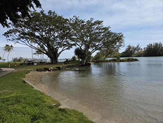 A tropical ocean cove with shallow water, grass and a path along the left. In back, rocky shore with trees streches across the frame.