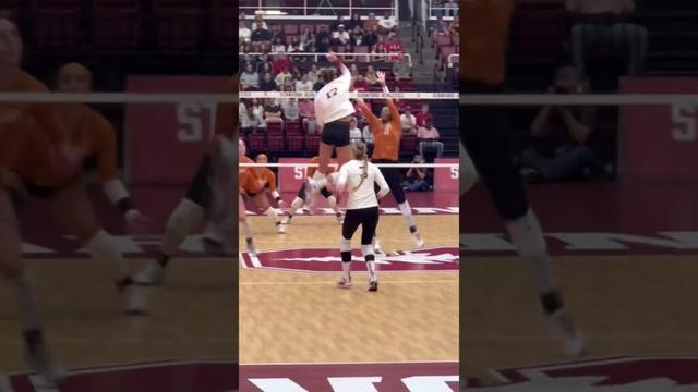 #volleyball  #fyp #waitforit #womensvolleyball