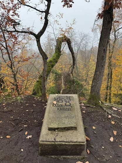 Landmarke in Form eines am Boden liegenden Steinquaders mit der Inschrift Hasenkanzel. Wir sind im Wald an einer steilen Abbruchkante. Der Nebel verschluckt jedoch die Umgebung.