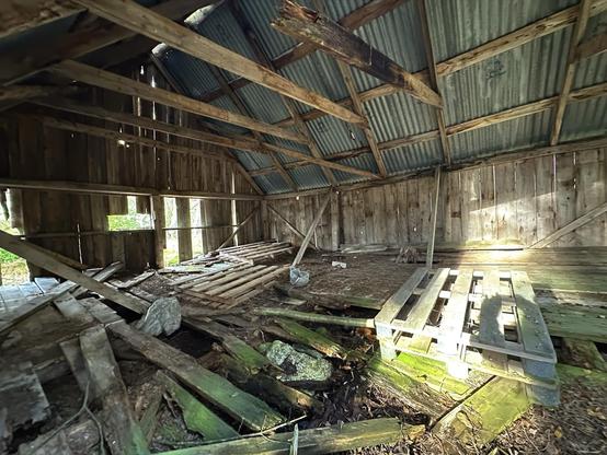Interior of a dilapidated wooden shed with scattered debris. The shed has a corrugated metal roof supported by wooden beams, and sunlight filters through gaps in the structure. Wooden planks and debris cover the ground, and there are several openings visible along the wooden walls. A wooden pallet lies prominently in the foreground.