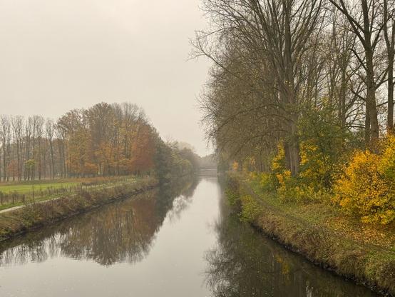 Ein Fluss bei diesigem Nieselwetter umgeben von herbstlich gefärbten Sträuchern und Bäumen (Ems 9.11.25)