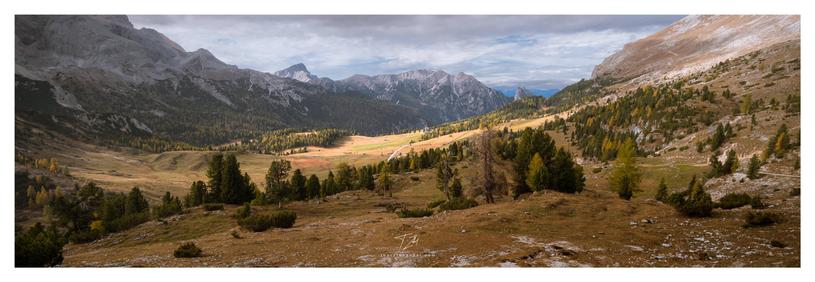 Panorama of a valley in the Dolomites. The larch trees and grass are colored in beautiful yellowish autumn hues. The sun illuminates the center of the picture.