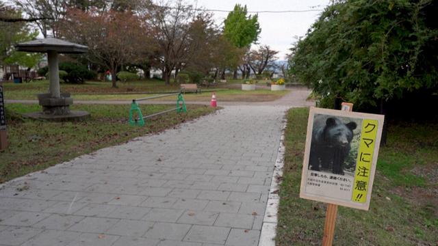 Japan Battles Unprecedented and Deadly Surge in Bear Attacks