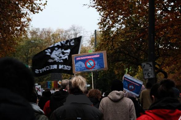 Eine Menschenmenge ziegt durch eine Allee mit Herbstlaub. Eine St.-Pauli-Flagge und Pappschilder mit der Aufschrift "AfD-Verbot jetzt prüfen" sind zu sehen