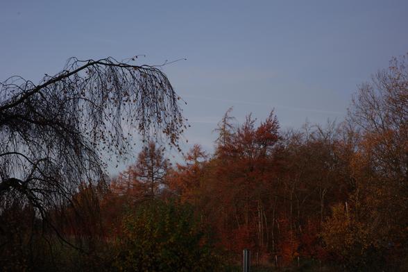 The image also shows the top of a folded clothesline, a large hazel bush and a birch branch in the foreground, parts of a green meadow, and a blue sky with purple hues. Exposure time: 20 s, f/16