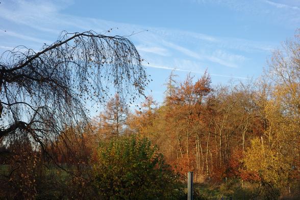 The image also shows the top of a folded clothesline, a large hazel bush and a birch branch in the foreground, parts of a green meadow, and a classic blue sky with a contrail and some wispy clouds. Exposure time 1/8 s, f/16