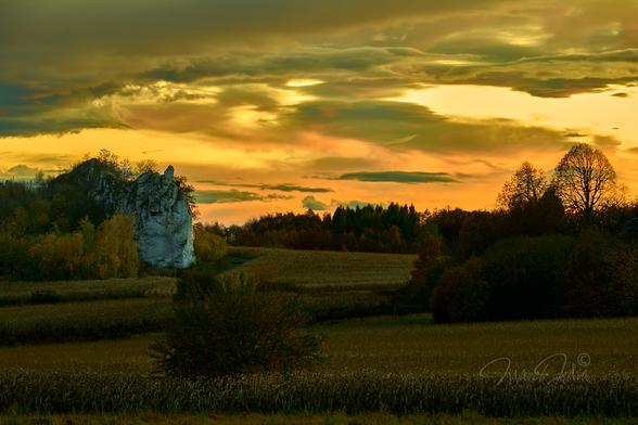 The photo shows farmland dotted with trees and forest on the horizon, bathed in golden-orange light. The upper half of the frame is a golden-orange sky with a touch of gray-blue. Blurry and incredibly colorful clouds after a storm create a unique atmosphere. This light also colors the crops and trees in the lower half of the frame. To the left of these fields stands a solitary limestone rock, clearly visible in this light. On the right, there is a group of trees, including two tall leafless trees that form a beautiful silhouette against the colorful sky.
