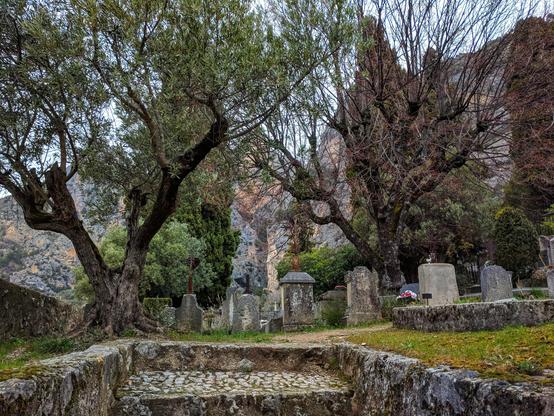 A tranquil scene of an old cemetery nestled in a natural setting. Tall, mature trees with a mix of evergreen and fresh spring foliage frame the historic gravestones and monuments, some adorned with simple crosses. A winding stone path, bordered by low stone walls and patches of vibrant green grass, meanders through the cemetery, inviting quiet contemplation. In the background, the rugged cliffs of the region rise, adding a dramatic yet serene backdrop to this tranquil resting place.