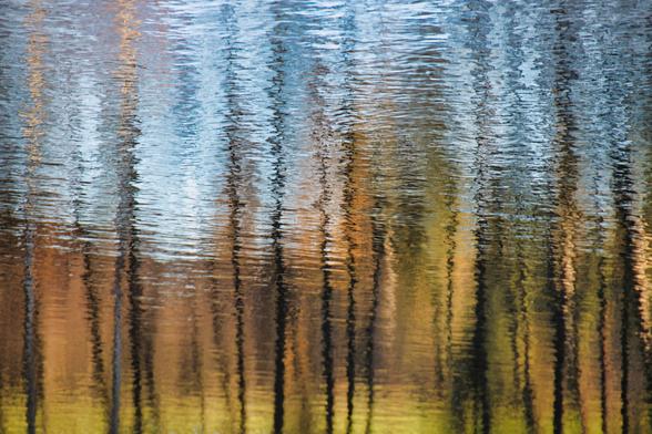 Auf dem Bild ist die farbige Spiegelung mehrerer schlanker Baumstämme auf einer leicht bewegten Wasseroberfläche zu sehen. Die Farben reichen von goldbraun über grün bis hin zu hellem Blau, was auf herbstliches oder spätherbstliches Licht hindeutet. Die Wasserwellen verzerren die Spiegelung sanft, sodass ein impressionistischer, fast malerischer Effekt entsteht.