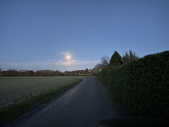 Abendliche Landschaft, Feld, Straße, rechts Häuser, Vollmond am dunkelblauen Abendhimmel, 5.11.25