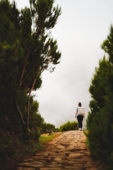 Aus einem grünen Tunnel blickend schaue ich den rötlichen Weg entlang. Am Ende sehe ich eine Person - mir den Rücken zugewandt. Sie macht einen Schritt von mir weg. Vor dem ungewissen, grauen Horizont wirkt sie wie ausgeschnitten - die Aufmerksamkeit die Blicke vereinnahmend