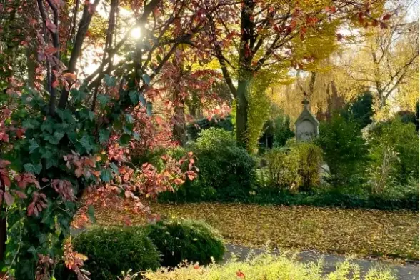 Friedhof in Selm-Bork