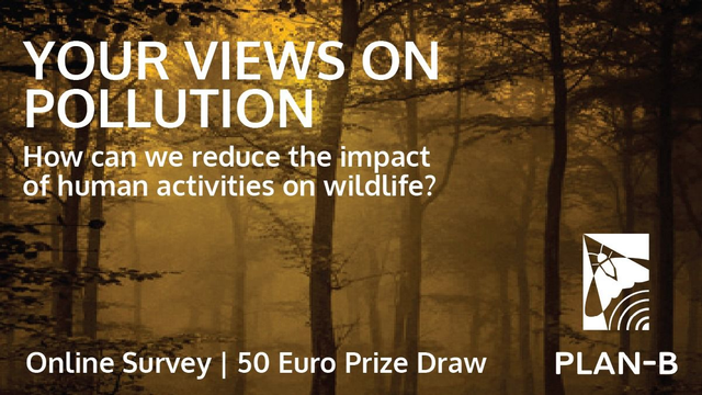 The following text appears in white letters atop a hazy image of a forest in tones of yellow: YOUR VIEWS ON POLLUTION How can we reduce the impact of human activities on wildlife? Online Survey | 50 Euro Prize Draw PLAN-B