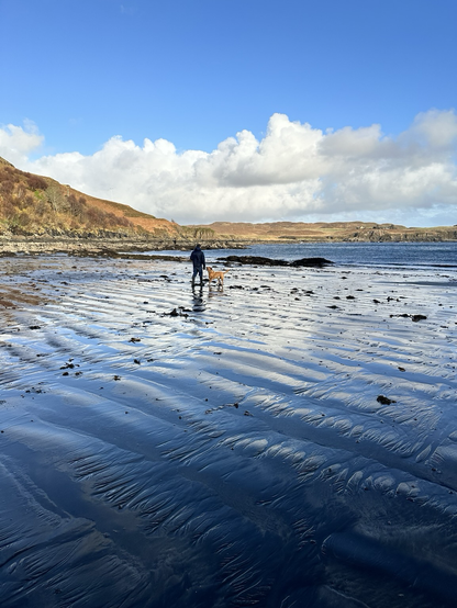 From AI: ‘The image shows a person walking a dog on a wide, reflective beach with a textured, wet sand surface. The scene is likely a coastal area in Scotland, characterized by its rugged landscape.’ * The beach is bordered by a rocky shoreline and hills in the background. * The sky is blue with scattered white clouds, suggesting fair weather. * The landscape is typical of the Scottish coast, such as the Ardnamurchan Peninsula, which is known for its scenic beaches and rugged terrain.