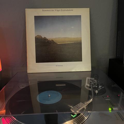 Colour photograph of a record sleeve on a record player that is currently playing a record. The sleeve shows a picture of a wide, hilly landscape at sunrise in a white frame. At the top edge, it says ‘Stimmen der Vögel Zentralasiens’ and at the bottom edge, it says Eterna.