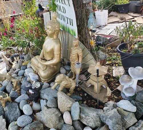 A collection of various golden figurines and decorations in a garden bed of rocks and plants, including a sitting Buddha statue, a miniature terracotta warrior, a monkey with a baby monkey, and a pagoda, lit by string lights, with a sign that reads "PROTECT OLD GROWTH".