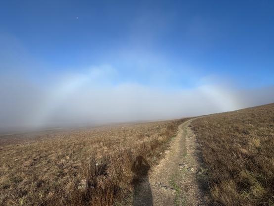 A white fogbow is forming over a dark, grassy field. It has a gap in the center where the fogbow disappears to blue sky. There is thicker fog underneath the fogbow. Laguna Lake Park Open Space, San Luis Obisipo, California

Fogbows are like rainbows where the sun is shining through water, but fog droplets are much smaller, so they don't create the prism of colors. Instead you are left with a white arc.