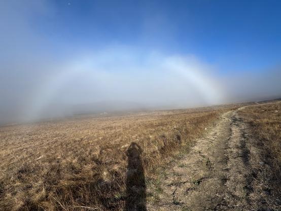 A white fogbow is forming over a dark, grassy field. The gap in the center is filling in, almost creating a complete arc. There is thicker fog underneath the fogbow. Laguna Lake Park Open Space, San Luis Obisipo, California

Fogbows are like rainbows where the sun is shining through water, but fog droplets are much smaller, so they don't create the prism of colors. Instead you are left with a white arc.