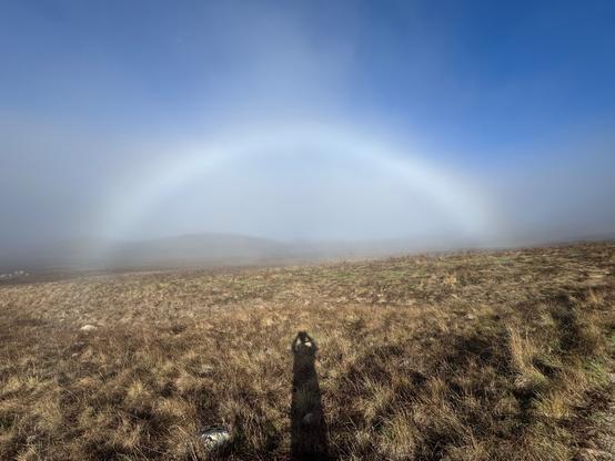 The arc is now complete. My shadow is on the field and under the arc. The sky is blue above, and the fog appears thinner under the arc.