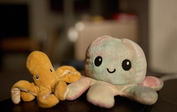 Ein kleiner gelber Octopus sitzt rechts neben mir. Ich bin Tiny, ein bisschen größerer Octopus