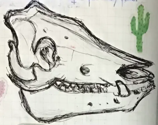 Traditional sketch made with black ballpoint pen of a pig skull. The background is grid paper. There is a tiny cactus sticker on the right side.