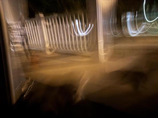 A very blurry photo due to the camera moving. There are two dark splotches, which are Virginia Opossums.