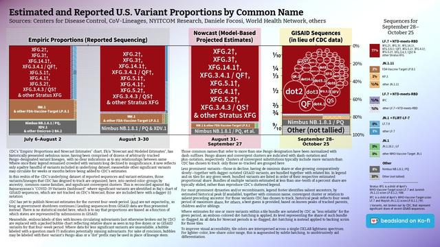 Chart: Est. & Reported U.S. Variant Proportions by Common Name
Sources: CDC, Cov-Lineages, NYITCOM, others

[ beadsland on Ko-fi ]

Reskin of CDC's Variants Nowcast, and any significant variants in GISAID not broken out by CDC.

Four bar-style tree-charts, for four-week periods through 9/28–10/25. Legend of last four-week period, organized by subheadings of color-grouped families and convergent clusters. Percentages overlay each color key, reflecting share as of most recent tree-chart.

Stratus XFG family accounts for over three quarters share.

For 9/28–10/25, leading GISAID sequences make up for outdated CDC Nowcast. Packed bubble charts fill single-variant tiles.

Legend:

LF.7 + NTD-meets-RBD [red]:
77% - XFG.2†, XFG.3†, XFG.14.1†, XFG.3.4.1 / QF†, XFG.5.1†, XFG.4.1†, XFG.5.2†, XFG.3.4.3 / QS† & other Stratus XFG

JN.1.11 [browns]:
2% - FDA-Vaccine-Target LP.8.1
1% - KP.3
½% - other JN.1.11

LF.7 + NTD-meets-RBD [purples]:
½% - XFC
¾% - other LF.7 + NTD-meets-RBD

JN.1 + FLiRT-LF-7 [blues]:
0% - LF.7.9
1% - other LF.7

JN.1 [greens]:
0% - JN.1.16.1 / LF
0% - other WHO-Vaccine-Target JN.1

Other [greys]:
8% - Nimbus NB.1.8.1 / PQ
10% - Other (not tallied)
_____

Stratus XFG is a child of April's WHO-Vaccine-Target scion LF.7 and Juneish JN.1.11 scion LP.8.1.2 / NW.

XFC is a child of April's WHO-Vaccine-Target scion LF.7 and Mayish JN.1.11 scion LP.8.1.1 / NY.

† Variants, not broken out by CDC, that represent significant share of recent GISAID sequences.