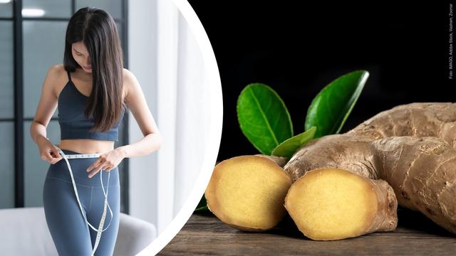 Collage aus einer Ingwerknolle und einer Frau mit Maßband um den Bauch, die sich fragt, ob das Abnehmen mit Ingwer funktioniert.  (Foto: IMAGO, Adobe Stock, Vastram, Zoonar)