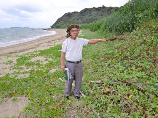 Sea turtle eggs in Okinawa being damaged by waves due to coastal erosion