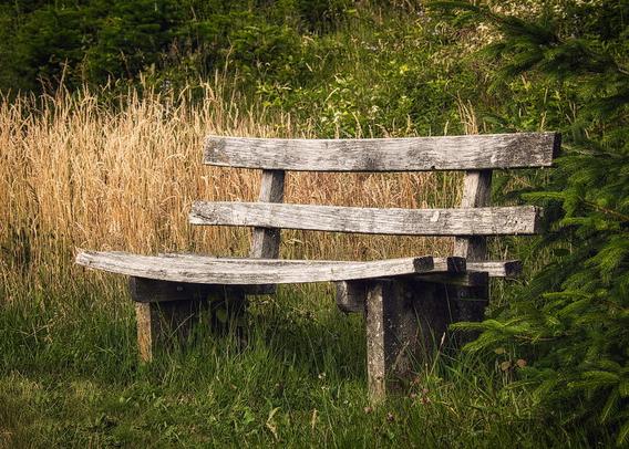 Eine alte Holzbank die schon etwas durchhängt. Dahinter sieht man etwas Getreide von einem Feld sowie diverse Bäume.