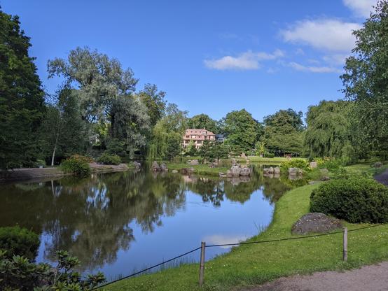 Un étang entouré de grands arbres à Tallinn, Estonie. Au fond, au centre, un immeuble d'habitation. Le ciel est bleu avec quelques petits nuages blancs. Le ciel et les arbres se reflètent dans l'eau.