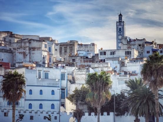 A wide-angle photo of a densely built North African city near Tangier. The tiered, whitewashed buildings with small blue-shuttered windows climb a hill, with a tall, distinct minaret tower dominating the skyline against a bright blue and white sky. Several tall, lush palm trees frame the foreground on the right. The overall mood is bright and historic.