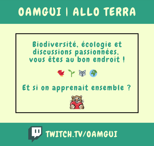 Visuel promotionnel de la chaîne Twitch de OamGui et de la revue Allo Terra.  Texte de haut en bas écrit en vert sur fond clair : « OamGui | Allo Terra » - « Biodiversité, écologie et discussions passionnées, vous êtes au bon endroit ! 🌱 🐦 🐺 🌍 Et si on apprenait ensemble ? » Illustration : une mascotte de félin stylisé avec un cœur rouge entre les pattes. En bas, le logo Twitch et l’URL « twitch.tv/oamgui ».