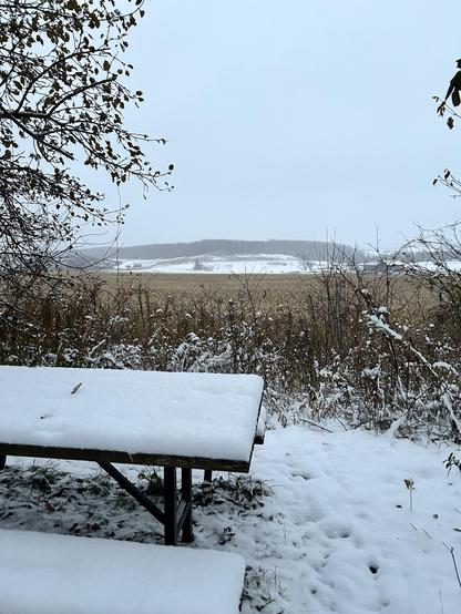 The gray of the sky is blending with the light snow in the air near the horizon to blur the delineation. In the foreground. You see snow on the picnic table and the shrubbery. The cornfield doesn’t show snow, but it’s tall.