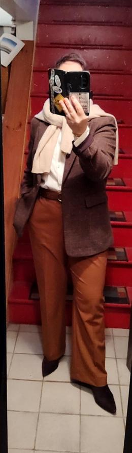 Cream satin blouse, mocha trousers, mocha belt. Brown suede ankle boots, brown check wool blazer. Champagne cashmere (thrifted) sweater as scarf.