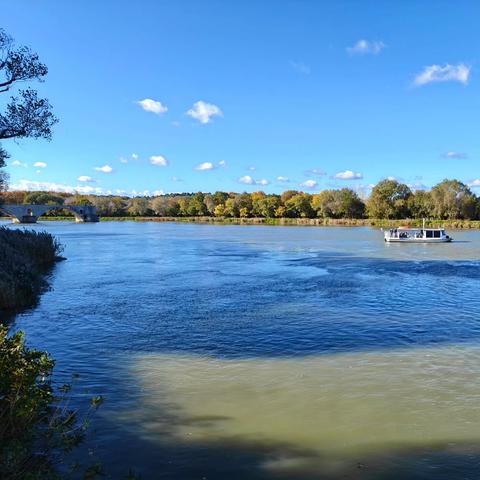 Sous le pont d'Avignon, et alentours