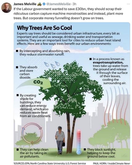 Social media post reads from James Melville who leads on #NoFarmersNoFood
“A simple and effective way to improve towns and cities: Plant lots of trees.
🌳stores carbon dioxide
🌳reduces city pollution
🌳helps protect from flooding
🌳reduces city temperatures
🌳provides habitats for urban wildlife
🌳beautifies urban surroundings”
With an urban tree infographic attached Titled:
Why Trees Are Cool
from EPS, North Carolina State University. US Forestry Service
“If the Labour government wanted to save £30bn, they should scrap their ridiculous carbon capture machine monstrosities and instead, plant more trees. But corporate money funnelling doesn’t grow on trees.” Follow up post