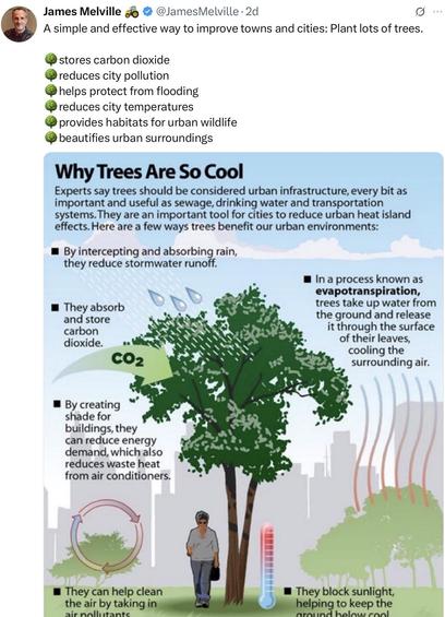Social media post reads from James Melville who leads on #NoFarmersNoFood
“A simple and effective way to improve towns and cities: Plant lots of trees.
🌳stores carbon dioxide
🌳reduces city pollution
🌳helps protect from flooding
🌳reduces city temperatures
🌳provides habitats for urban wildlife
🌳beautifies urban surroundings”
With an urban tree infographic attached Titled:
Why Trees Are Cool
from EPS, North Carolina State University. US Forestry Service
“If the Labour government wanted to save £30bn, they should scrap their ridiculous carbon capture machine monstrosities and instead, plant more trees. But corporate money funnelling doesn’t grow on trees.” Follow up post