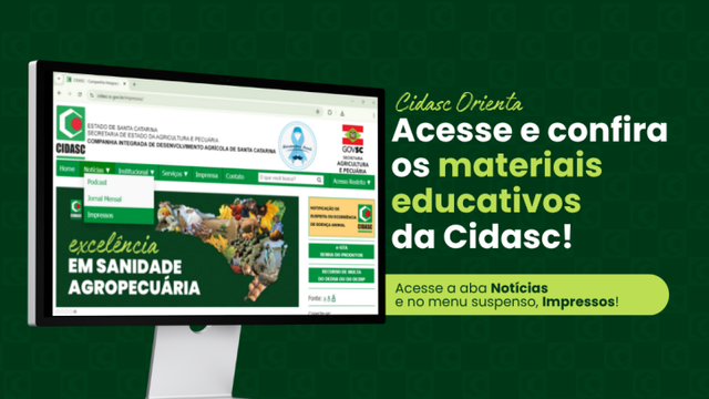 Imagem de capa da notícia, infelizmente por ser um bot hospedado gratuitamente, não consigo gerar texto alternativo!