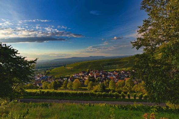 Eine Landschaftsaufnahme. Zu sehen ist eine hügelige Weinberglandschaft mit einem Dorf vor blauem Himmel. / A landscape shot. It shows a hilly vineyard landscape with a village against a blue sky.