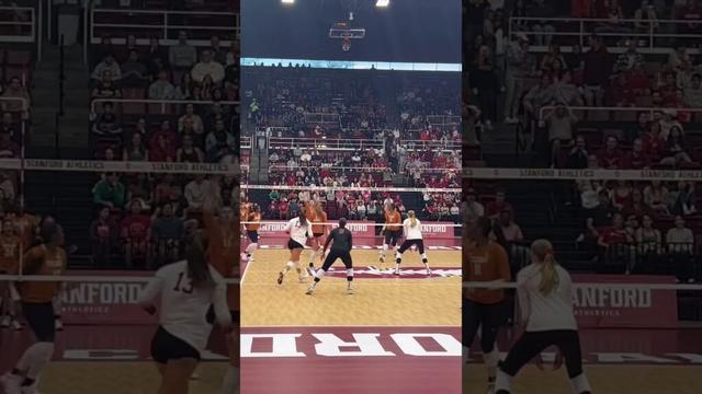 #volleyball  #fyp #waitforit #womensvolleyball