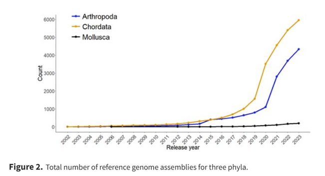 Graph shows total number of reference genome assemblies for three phyla, arthropods, chordates and molluscs. There are many fewer assemblies for molluscs.