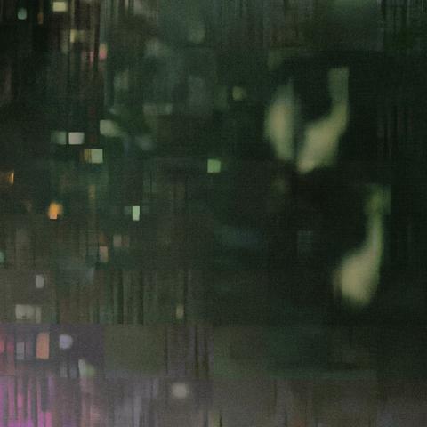 A picture taken in darkness, towards 3 Snowy Egrets near the waters edge.  Artefacts and squares of pinks and blues in lower left - general stripy green look with the 3 recognizable (to me anyway) outlines of Snowy Egret off to the right.