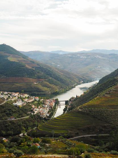 View over Douro valley in Portugal. At the bottom of the valley runs a river and on its left side there is a village. Behind the village and on the right side of the river there are big hills full of grapevines. Sky is cloudy and in the distance you can see more mountains.