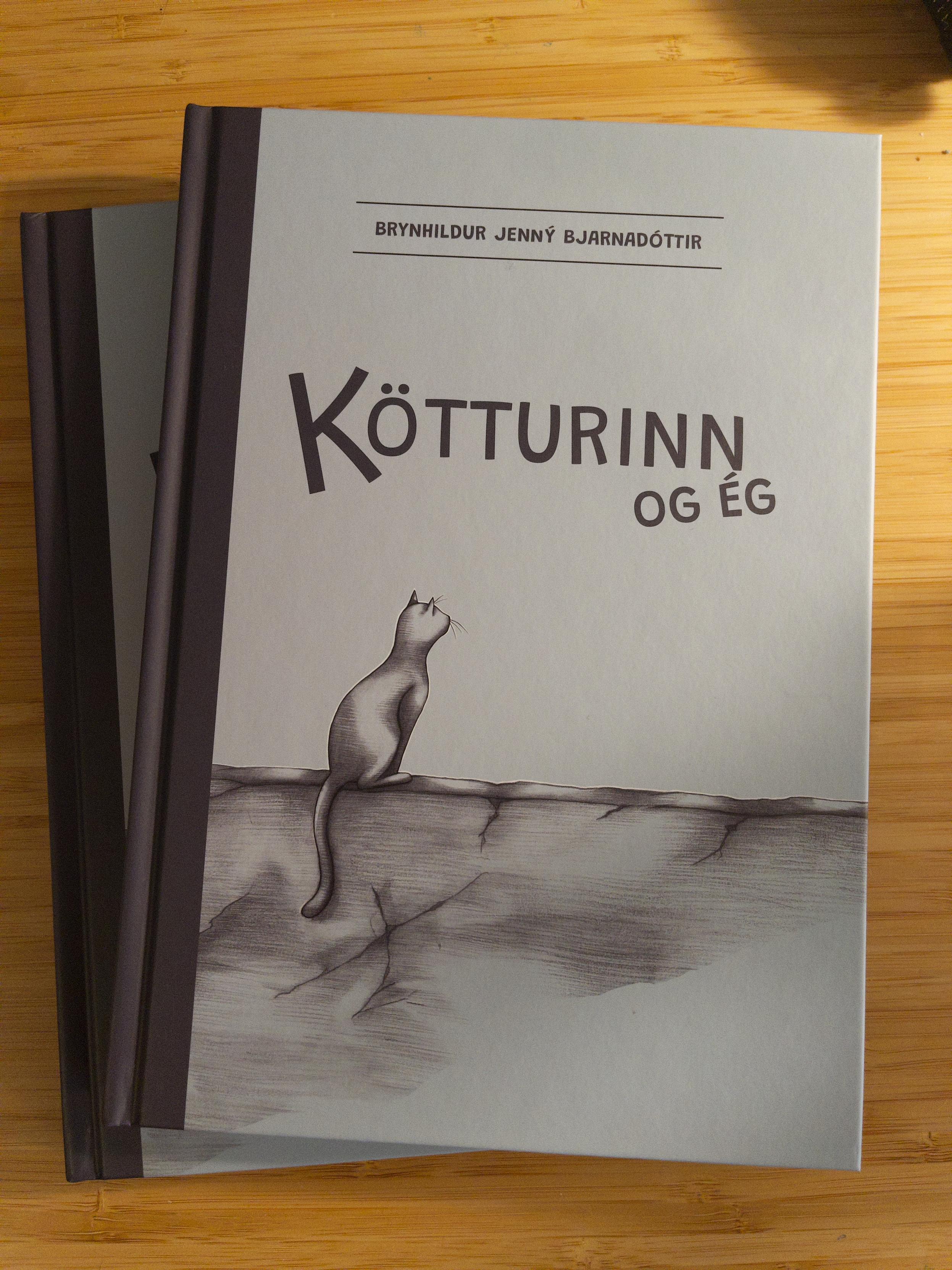 A graphic novel on a table. The title is “Kötturinn og ég” which translates as “The Cat and I” by Brynhildur Jenný Bjarnadóttir