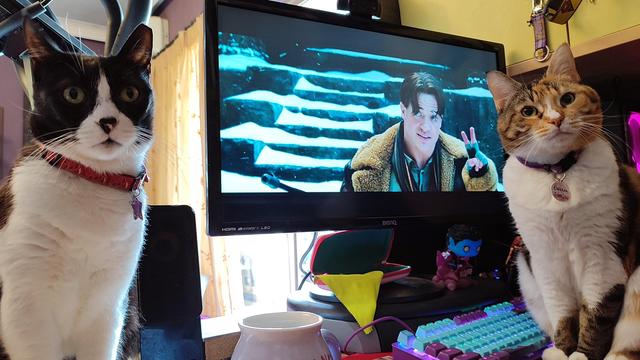 My calico cat Carrie and my tuxedo cat Tiffie standing in front of the PC monitor which is showing an instance from the movie with Brendan Fraser as Rick O'Connell standing in front of a snowy scenery making the two sign with his fingers as he smirks looking at someone off camera.