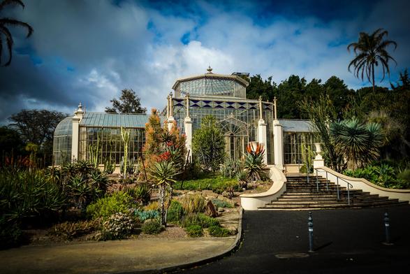 A large, ornate glass greenhouse stands prominently in a garden setting against a backdrop of lush green vegetation and a cloudy sky. The greenhouse is constructed with a detailed iron framework and numerous glass panels, featuring a curved roof and symmetrical design with pillars and decorative elements. A wide, stone staircase leads up to the entrance of the greenhouse, flanked by low stone walls and landscaped garden beds filled with a variety of plants, including cacti, succulents, and shrubs. The foreground features a paved area with a dark surface and a few small, dark posts. In the background, a dense collection of trees and plants create a natural, hilly backdrop, with a palm tree visible on the right edge of the image.

Provided by @altbot, generated privately and locally using Gemma3:27b