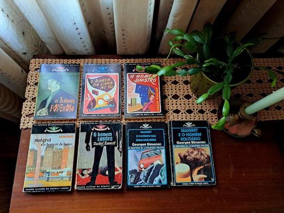 The seven books listed next to a plant vase and a green candle over a wooden table.